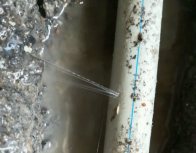 申扎测漏水哪家好