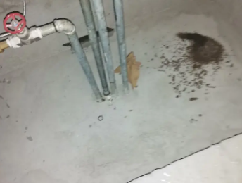 申扎卫生间测漏水价格明细