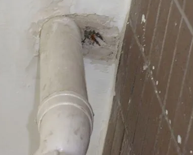 申扎漏水检测哪家好